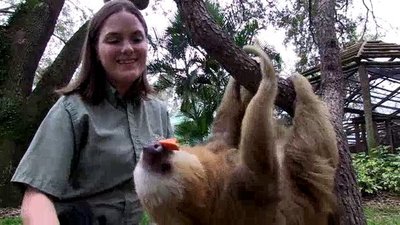 The Wildlife Docs Season 1 Episode 18