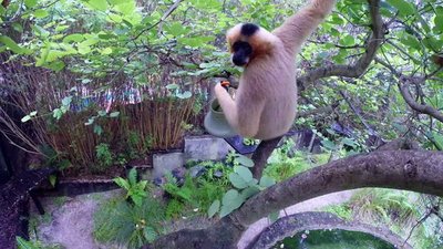 The Wildlife Docs Season 3 Episode 10