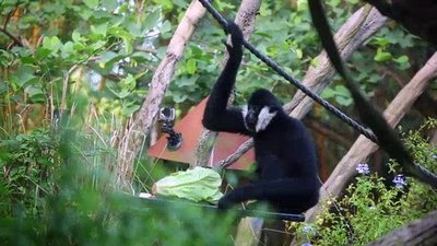 The Wildlife Docs Season 2 Episode 3