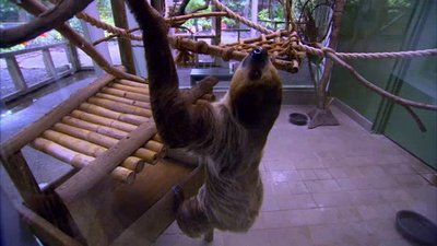 The Wildlife Docs Season 3 Episode 12