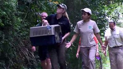 The Wildlife Docs Season 3 Episode 15