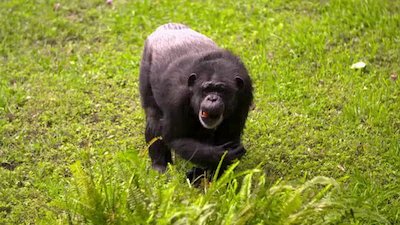 The Wildlife Docs Season 3 Episode 16