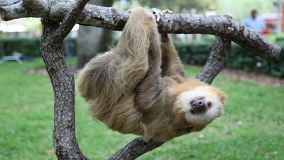 The Wildlife Docs Season 4 Episode 9