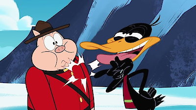 Wabbit Season 2 Episode 67