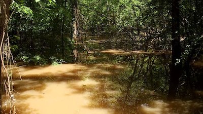 Rebel Gold Season 1 Episode 4