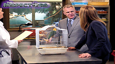 The Inspectors Season 2 Episode 17