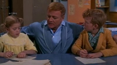 Family Affair Season 4 Episode 19