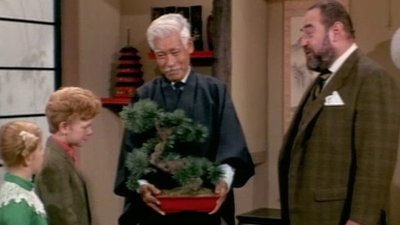 Family Affair Season 4 Episode 17