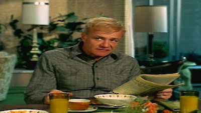 Family Affair Season 1 Episode 28