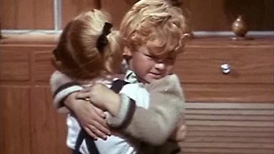 Family Affair Season 1 Episode 29