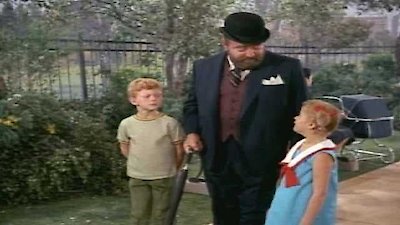 Family Affair Season 3 Episode 24