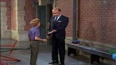 Family Affair Season 4 Episode 5