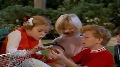 Family Affair Season 4 Episode 13