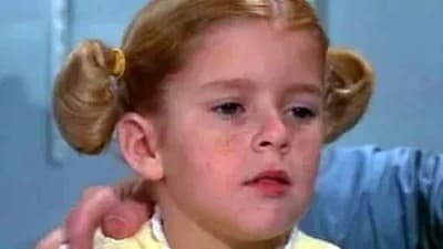 Family Affair Season 4 Episode 19