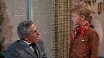 Family Affair Season 4 Episode 23