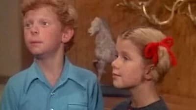 Family Affair Season 5 Episode 5