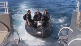 Muriwai Shark Attack