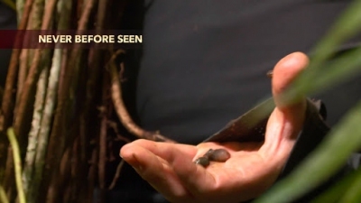 Men Women Wild Season 1 Episode 7