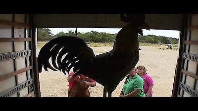 Texas Flip N' Move Season 2 Episode 6