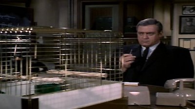 Ironside Season 2 Episode 11