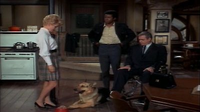 Ironside Season 2 Episode 13