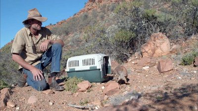 Kangaroo Dundee Season 1 Episode 6