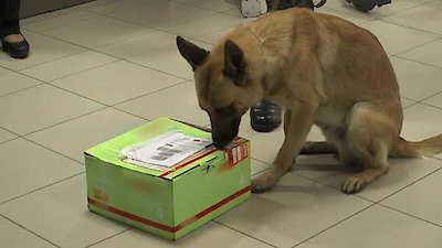 Alerta Aeropuerto Season 3 Episode 2