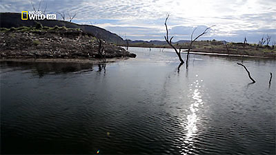 72 Dangerous Animals: Australia Season 1 Episode 1