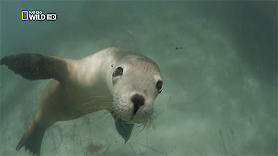 72 Dangerous Animals: Australia Season 1 Episode 7