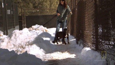 DogTown Season 2 Episode 1