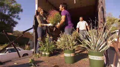 The Outdoor Room with Jamie Durie Season 3 Episode 10