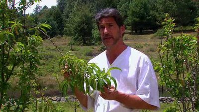 Un Camino Hacia el Destino Season 1 Episode 51