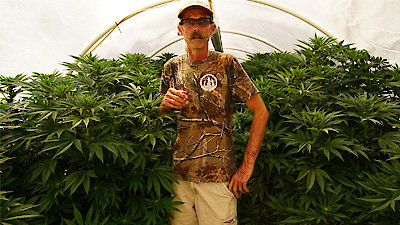 Weediquette Season 1 Episode 5