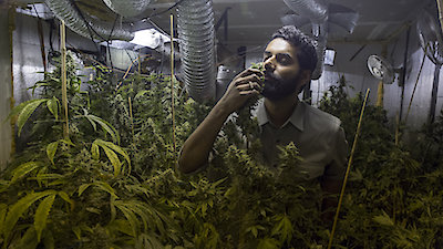 Weediquette Season 2 Episode 8