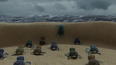 Super Wings Season 6 Episode 6