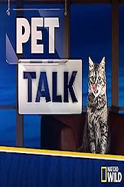 Pet Talk