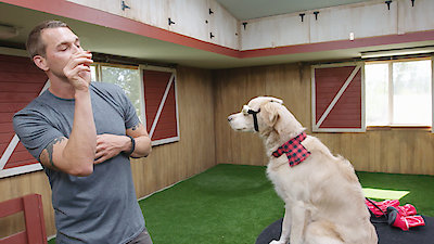 Lucky Dog Season 4 Episode 20