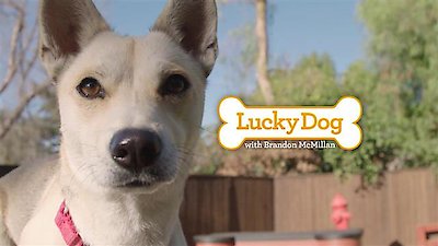 Lucky Dog Season 4 Episode 23