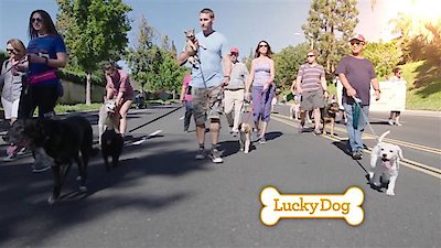 Lucky Dog Season 4 Episode 25