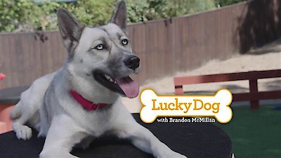 Lucky Dog Season 5 Episode 2