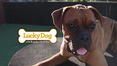 Lucky Dog Season 5 Episode 9