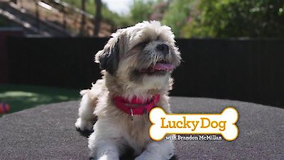 Lucky Dog Season 5 Episode 13