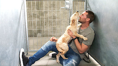 Lucky Dog Season 6 Episode 1