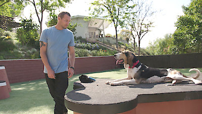 Lucky Dog Season 6 Episode 4