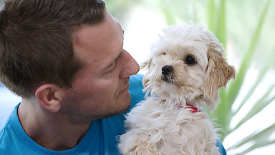 Lucky Dog Season 6 Episode 7