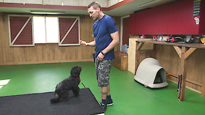 Lucky Dog Season 6 Episode 9