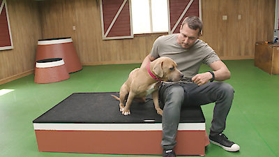 Lucky Dog Season 6 Episode 10