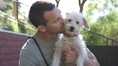 Lucky Dog Season 6 Episode 11