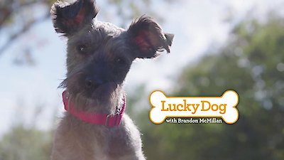 Lucky Dog Season 5 Episode 25