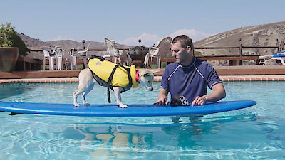 Lucky Dog Season 6 Episode 23